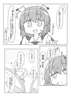 [Matsukitsune Iori (Matsukitsune)]Riguru to ecchi suru hon (Touhou Project) [Digital] page 5