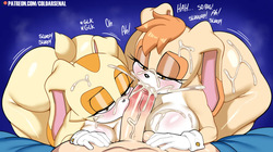 [ColdArsenal] Vanilla &amp; Cream (Sonic the Hedgehog) page 7
