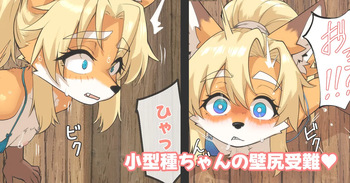 [がよくみだら] 小型種ちゃんの壁尻受難 cover