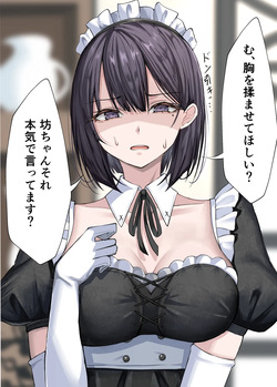 [箱庭アリス (黒羽けい)] クール系メイドさんに命令して中出しS〇Xする話 page 3