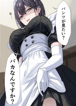 [箱庭アリス (黒羽けい)] クール系メイドさんに命令して中出しS〇Xする話 page 6