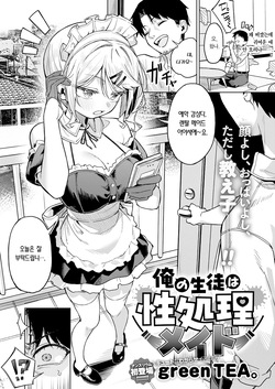 [green TEA。] Ore no Seito wa Seishori Meido | 내 제자는 성처리 메이드 (COMIC Anthurium 2026-07) [Korean] [Team Edge] [Digital] page 3