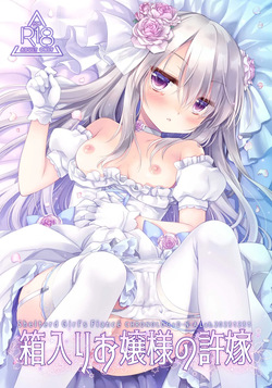 [D.N.A.Lab. (Miyasu Risa)] Hakoiri Ojou-sama no Iinazuke + After [Digital] page 2