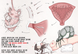 [Gura] Insect Research Report No.32 [Korean] page 4