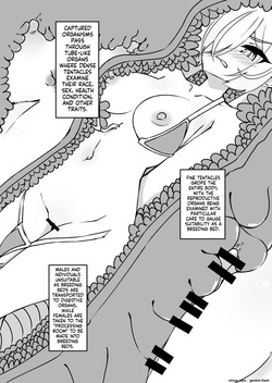 [Mikaguuland (Mikagura)] Shokushu Dungeon Seitai Chousa Kiroku [Digital] (SCANMTL) page 4